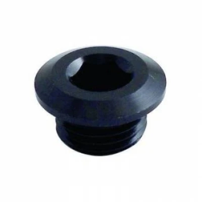 Winters 007 Wide 5 Hub Oil Level Plug, 1/2-20in. Thread, Socket Head, O-Ring Seal, Steel, Zinc Oxide, Each. (Also Quick Change Bell Oil Level Plug.) - WIN7874S
