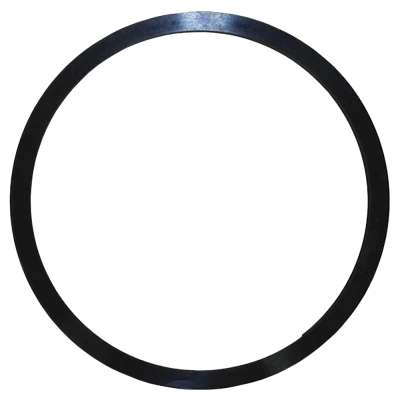 Extension Housing Needle Bearing Retaining Ring, Falcon Roller Slide Transmissions, Steel, Each. (56) - WIN67653