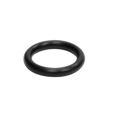 Falcon Reverse Shaft O-Ring, Rubber, Black, Each. (53) - WIN67481