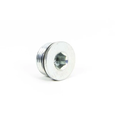 Falcon Fill Plug, Socket Head, Steel, Zinc Oxide Finish, Each. (98)(31) - WIN68035